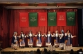 Kovács Zsiga Fotói