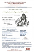 VIHAROS ÉJSZAKA